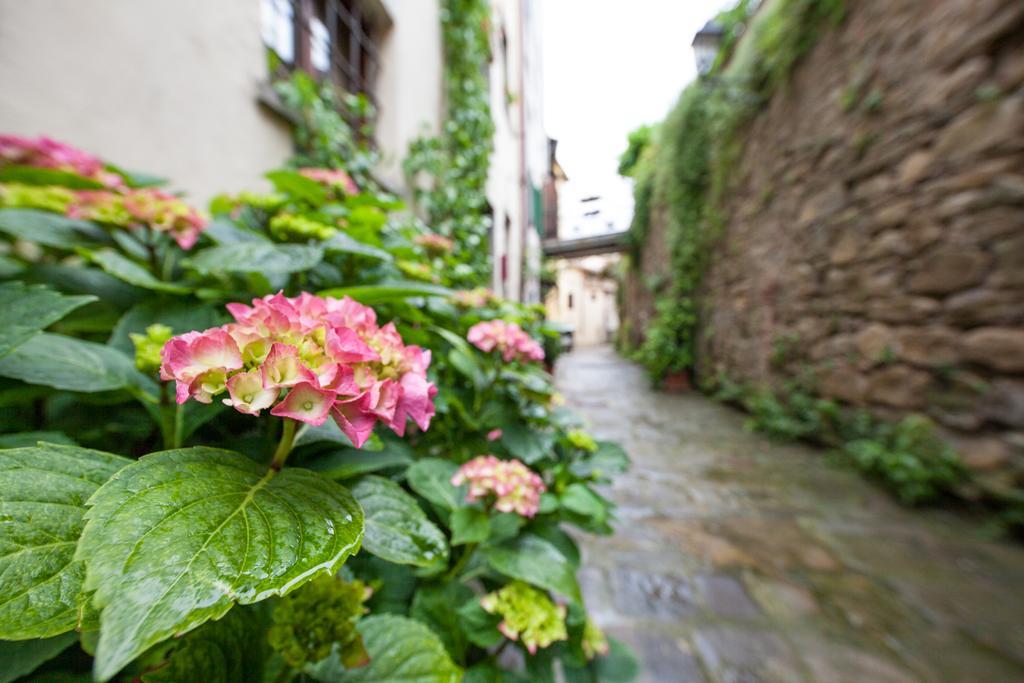 カスティリオーン・フィオレンティーノ San Michele Al Borgo Bed & Breakfast エクステリア 写真